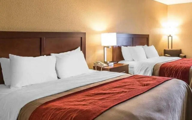 Comfort Inn Bethany