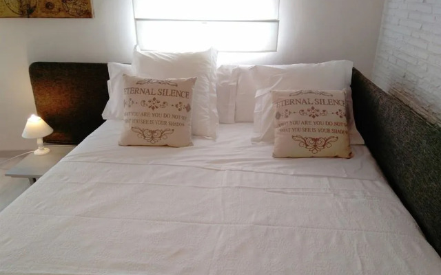 Ático Embajadores