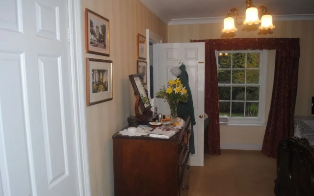 Elmfield