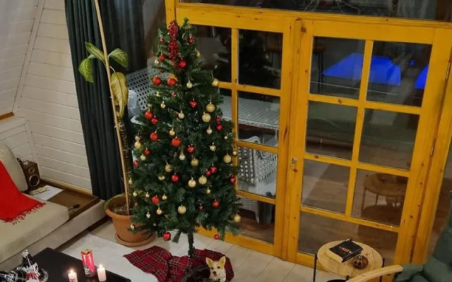 Amasya Bungalov