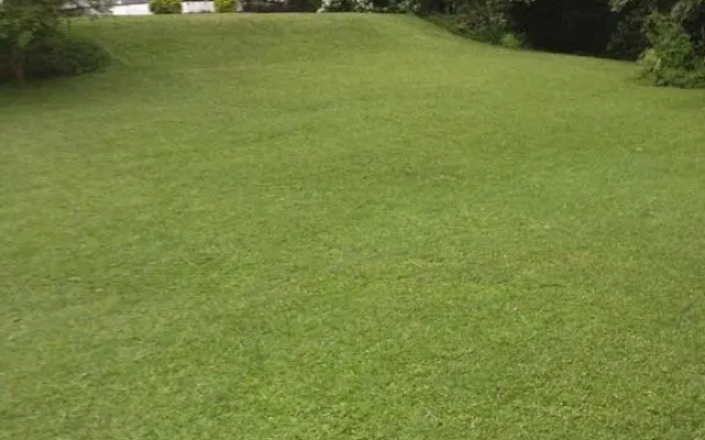 Emfuleni Bed and Breakfast