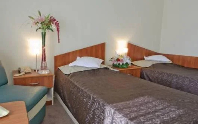 Hotel Bradul