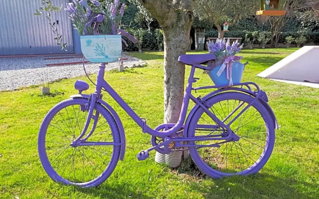 B&B Milu'