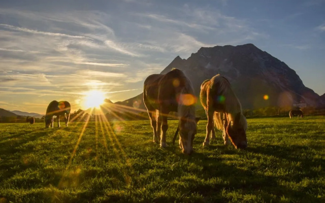 Schachneralm