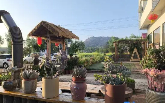 Chayashan The Song'S Lodge