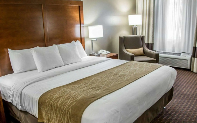 Comfort Inn & Suites Riverview near Davenport and I-80