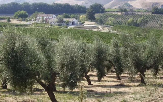 Terre di Varano