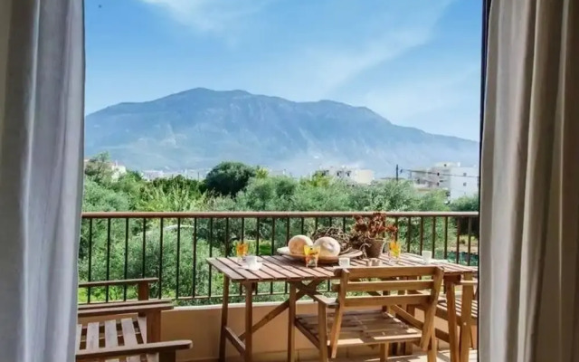 Amalia s Serendipity City Lights Mountain Vistas