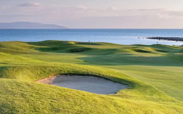 The Hawthorn By Galway Bay