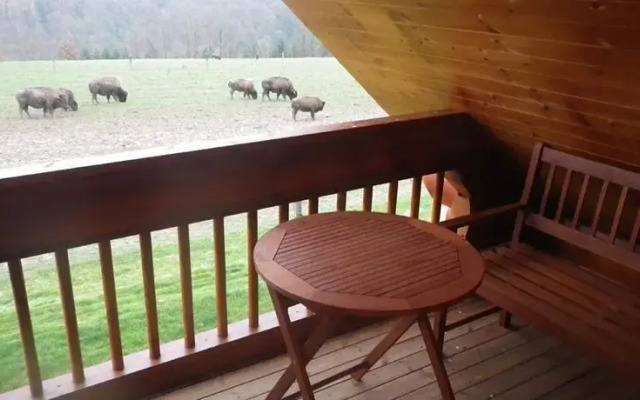 Ranch des bisons
