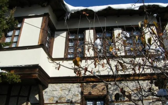 Archontiko Dintsiou