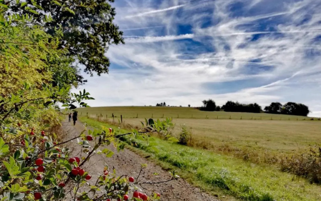 Ferienwohnung Wiesenschneiders