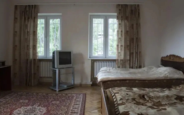 OWL Hostel and more