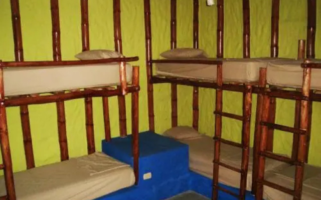 Psygon Surf Camp