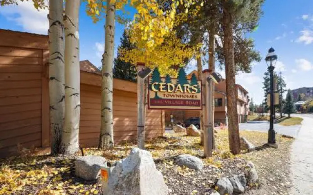Cedars #2 by RedAwning