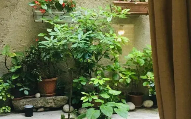Apartment Filipas