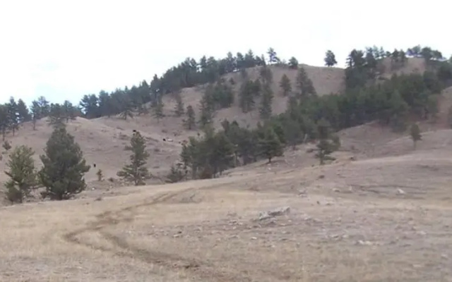 Ridge View Cabin