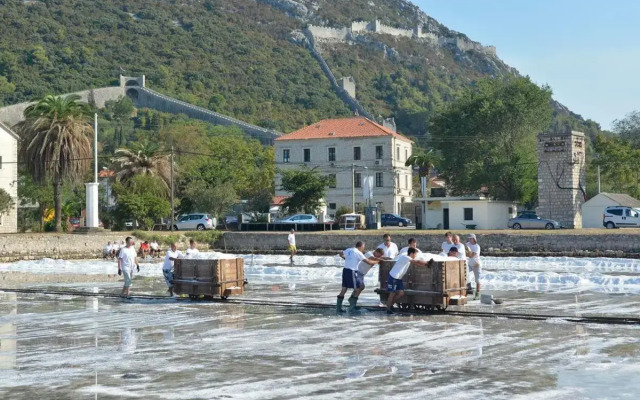 Vila Ruža