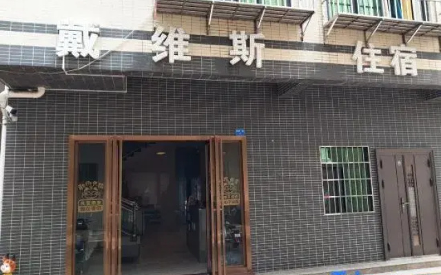 Zhongshan Davis Apartment (Shenwan)