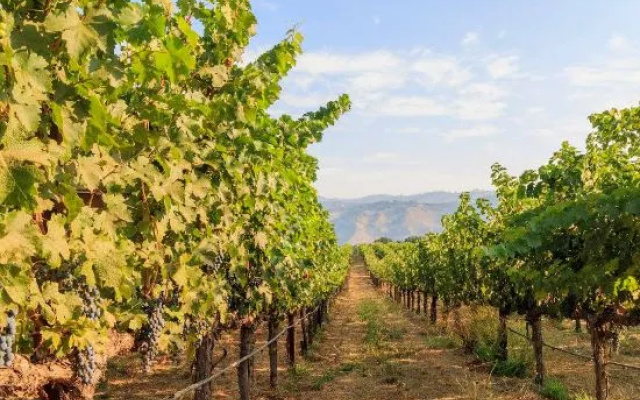 Courtyard by Marriott Novato Marin Sonoma