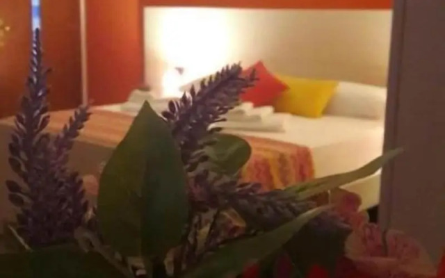 B&B Cornelia