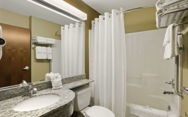 Microtel Inn & Suites by Wyndham Williston