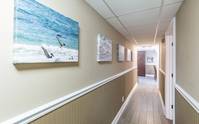 Pelican Walk 109