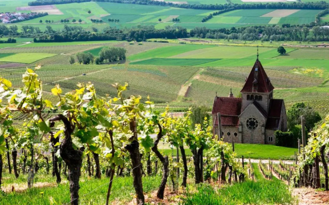 Hofgut Wißberg - Das Weinberghotel