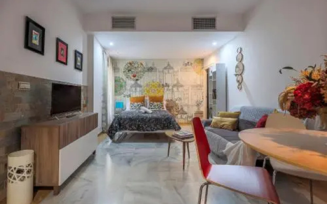 Amazing studio in the old city