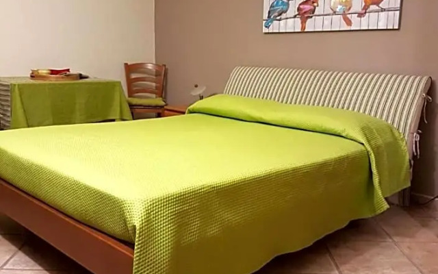 Al 32 Y 3 (Adults Only)
