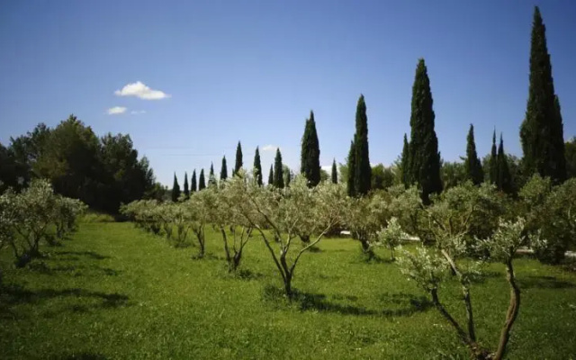 Pontet Bagatelle