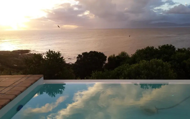 La Petite Baleine
