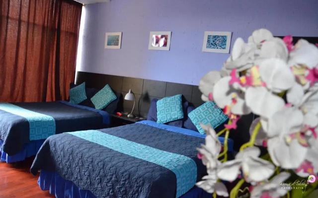 Hostal Alua Rio