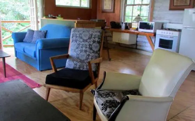 Old Pine Cabin