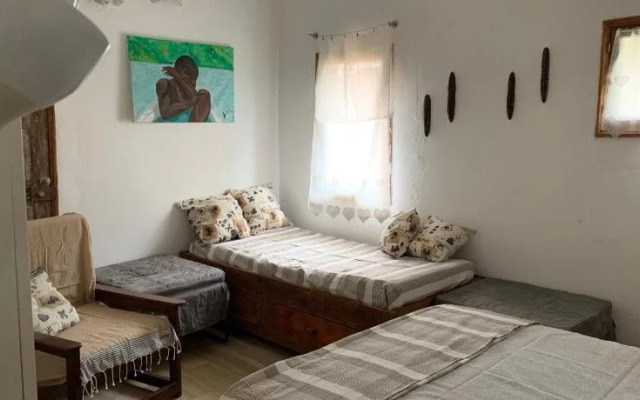 Domus Rio Papagaio