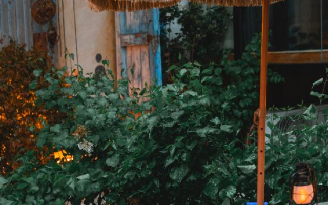 Huafeihua · Zen Aesthetics Homestay  From the street