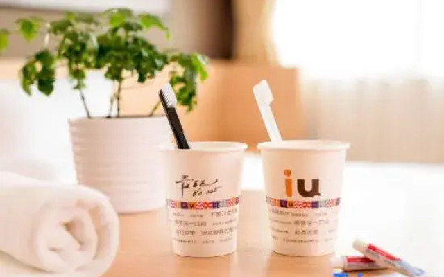 IU Hotel (Shandong Aviation College Binzhou Medical College Branch)
