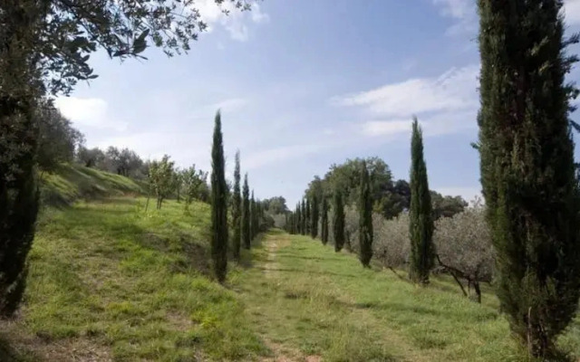 Villa Plini