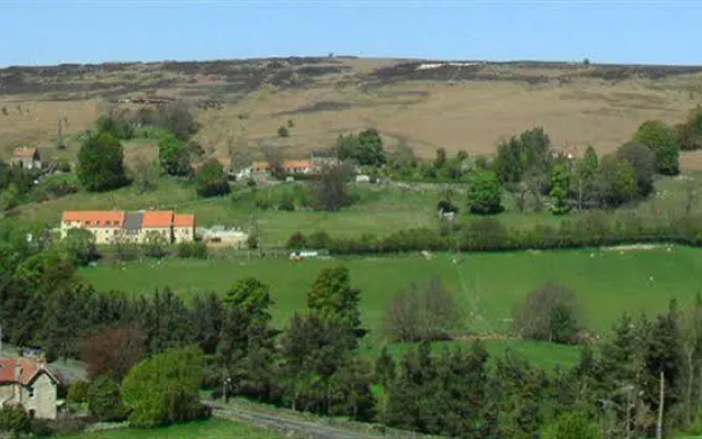Greystones Bed & Breakfast