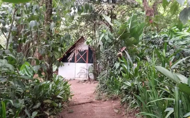 Costa Rica Glamping