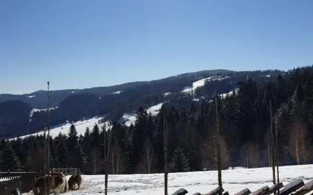 Domek na Obidzy