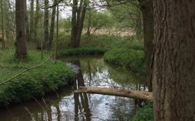 Farm Stay Luythoeve