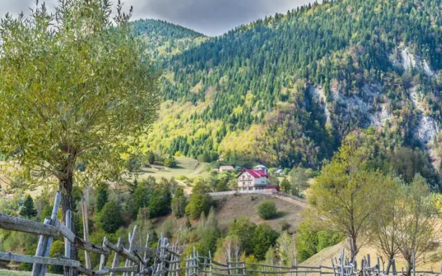 Pension Mosorel - Magura