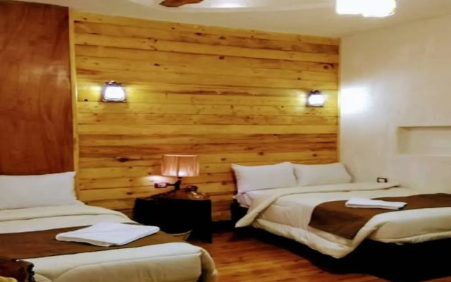 Down Town Hotel Cairo