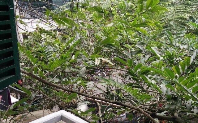 YlangYlang Homestay