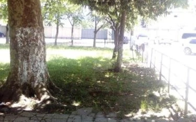 Kvartira Irakli