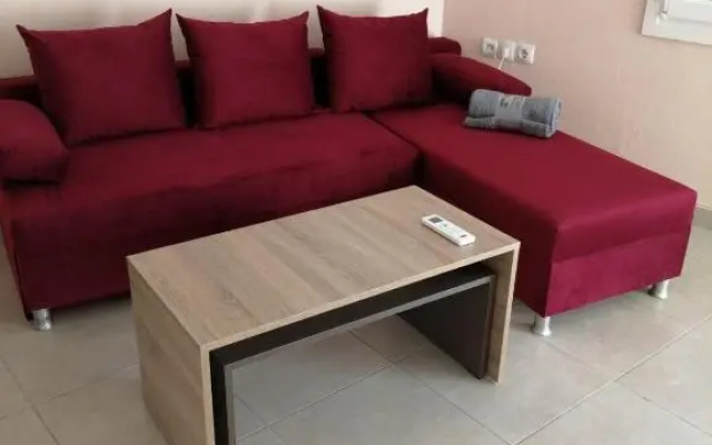 2020 renovated, sunny apartment with yard/garden