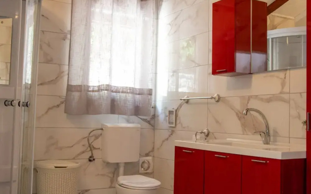 Authentic Dalmatian Treasure Homes