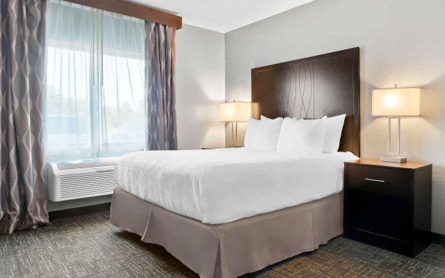 Best Western Plus Flint Airport Inn & Suites