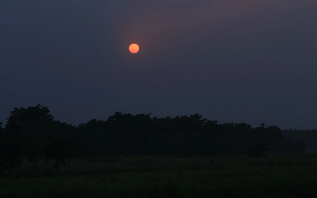 Chitwan Safari Camp & Lodge